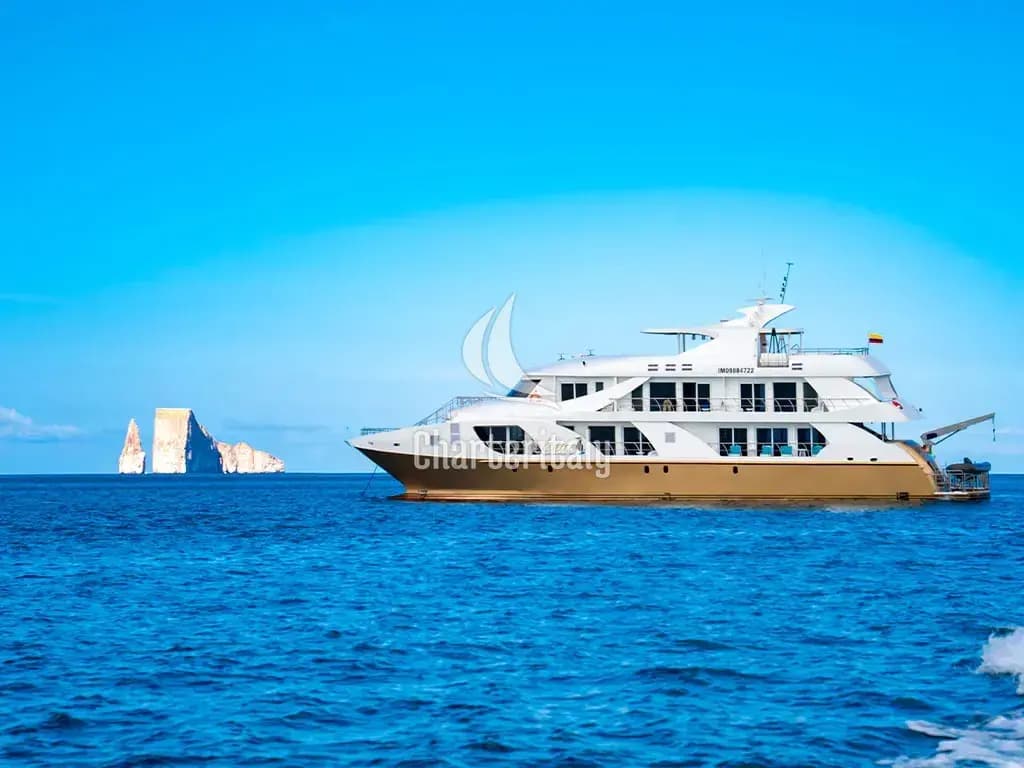 Power Catamaran - Elite - 10