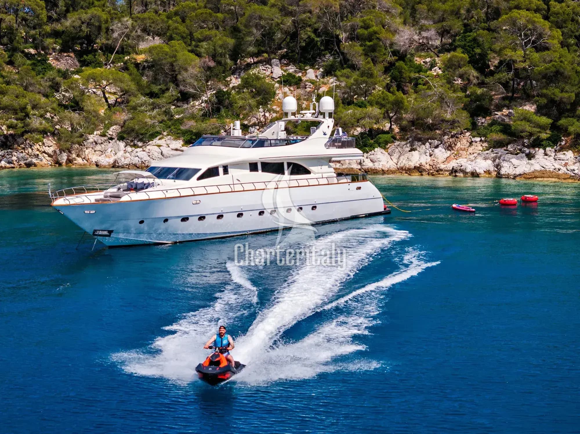 Arno Leopard 27 - Dream - 13