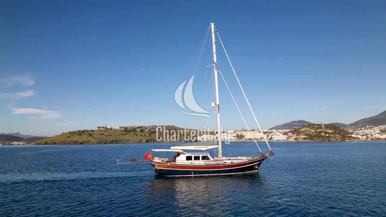Custom built 183 - CARPEDIEM CORAL - 31