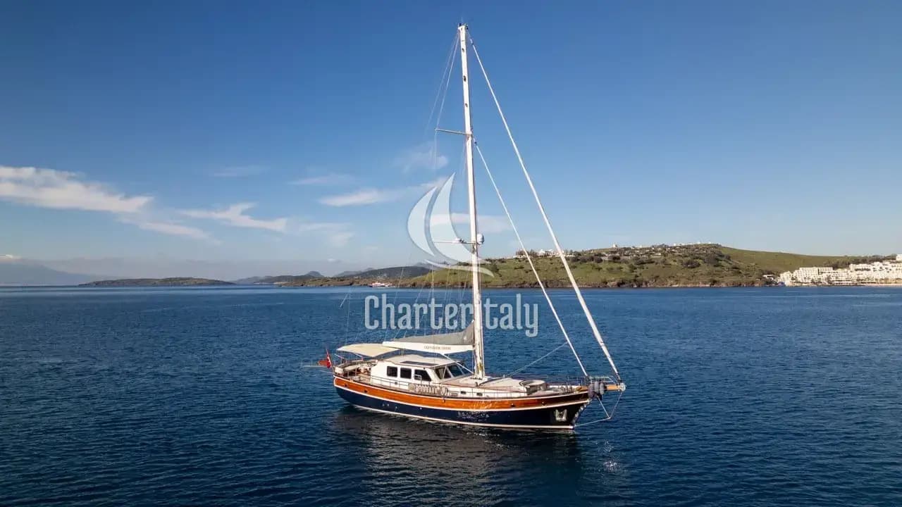 Custom built 183 - CARPEDIEM CORAL - 6