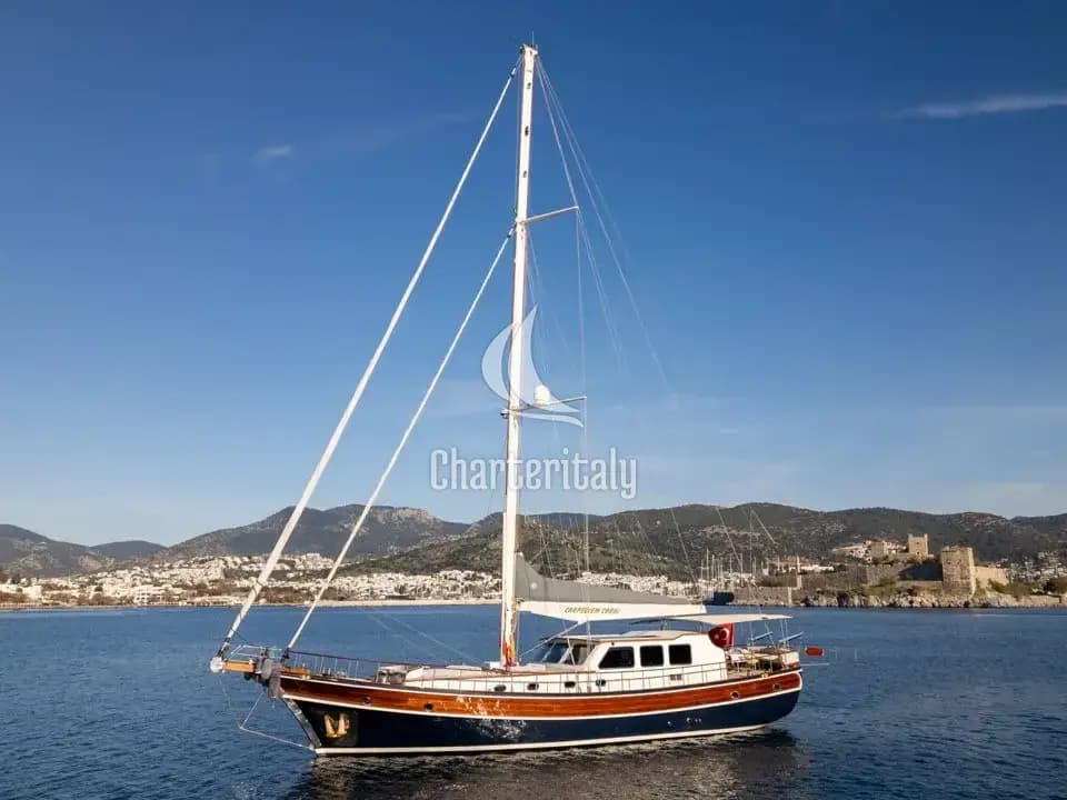 Custom built 183 - CARPEDIEM CORAL - 3