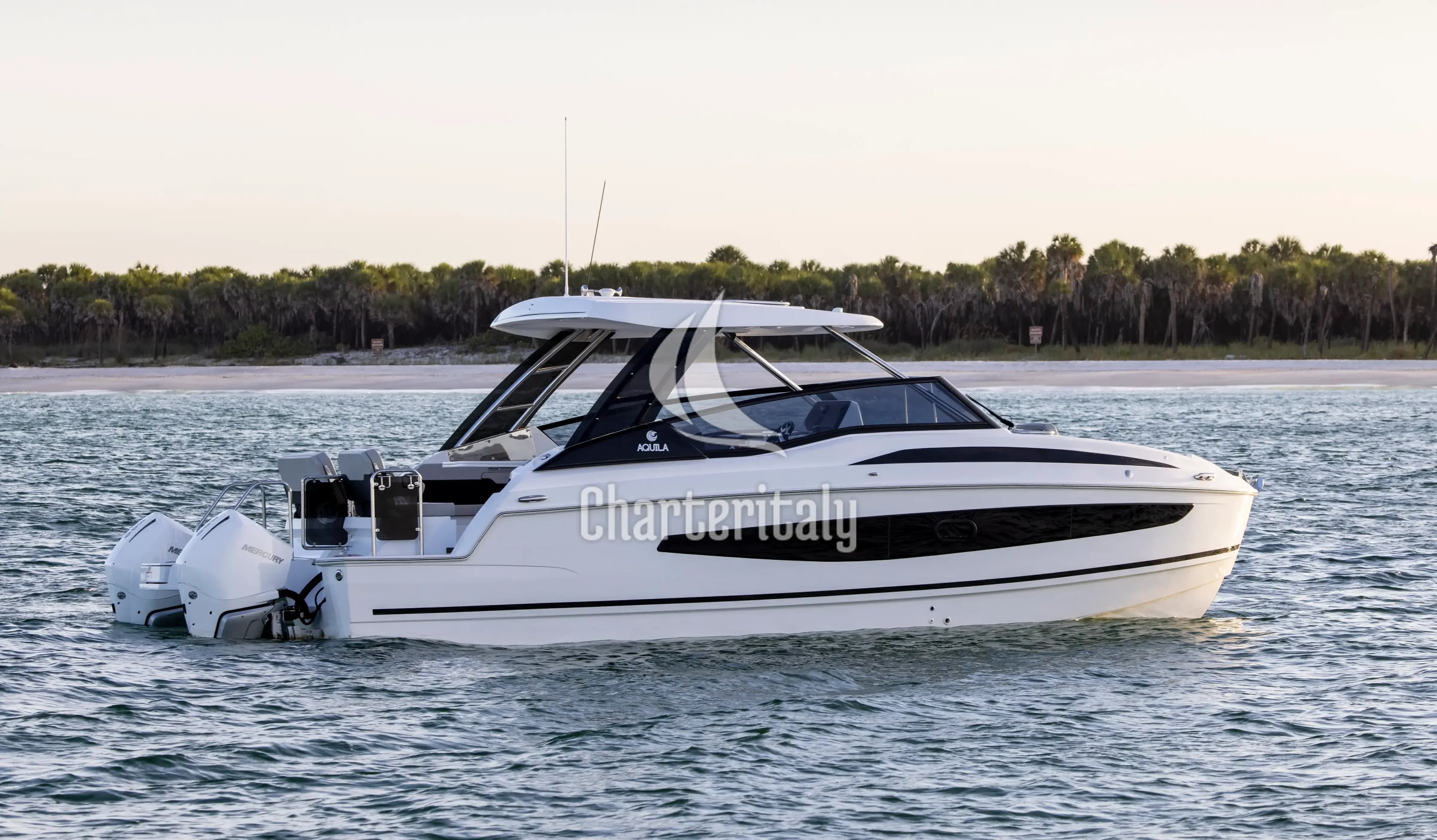 Aquila 32 Sport - BATCAT - 4