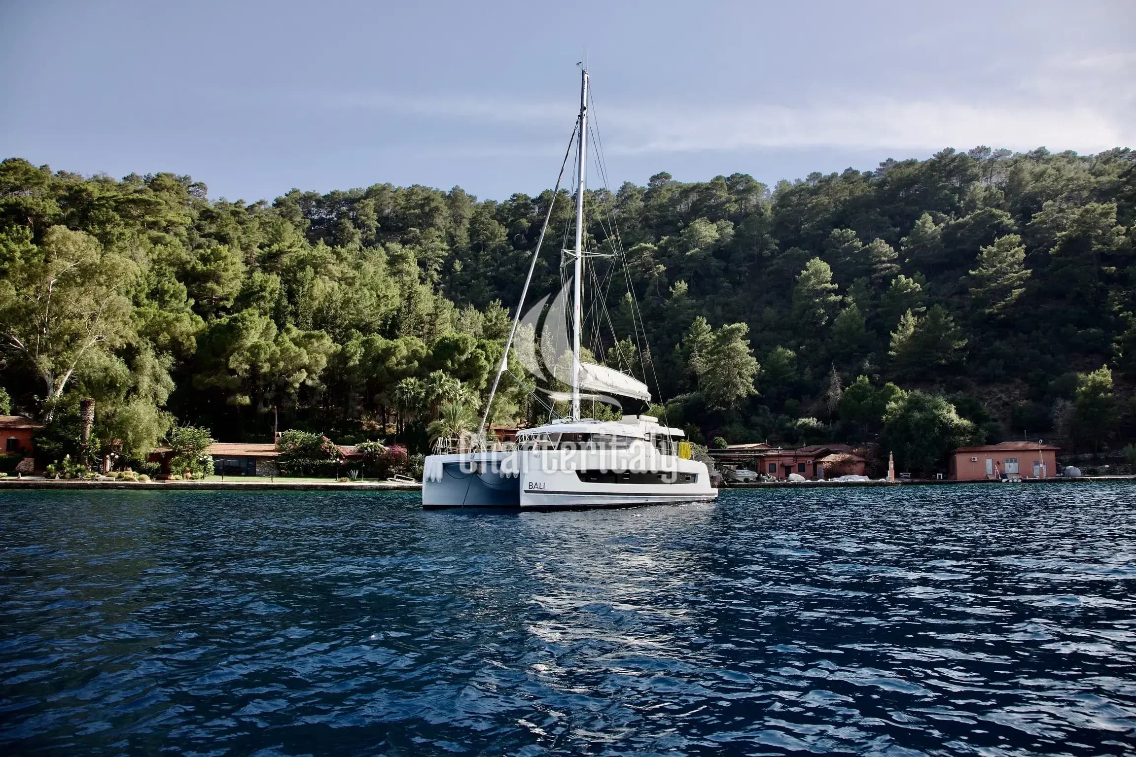 Bali Catspace - Rea - 12