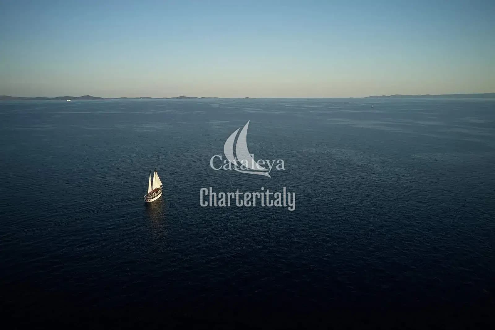 Cataleya - Cataleya - 18