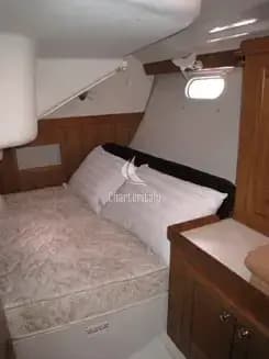 Catalina 350 - WAZABI - 3