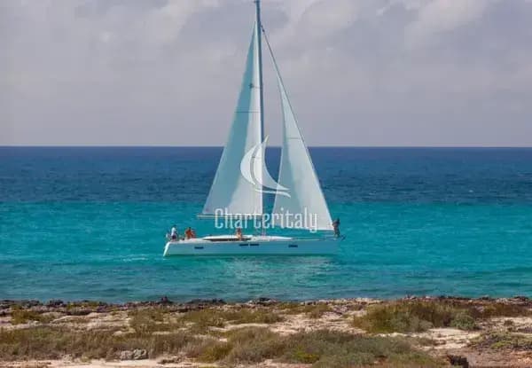 Sun Odyssey 479 - 3 cab. - Phat Dolphin - 1