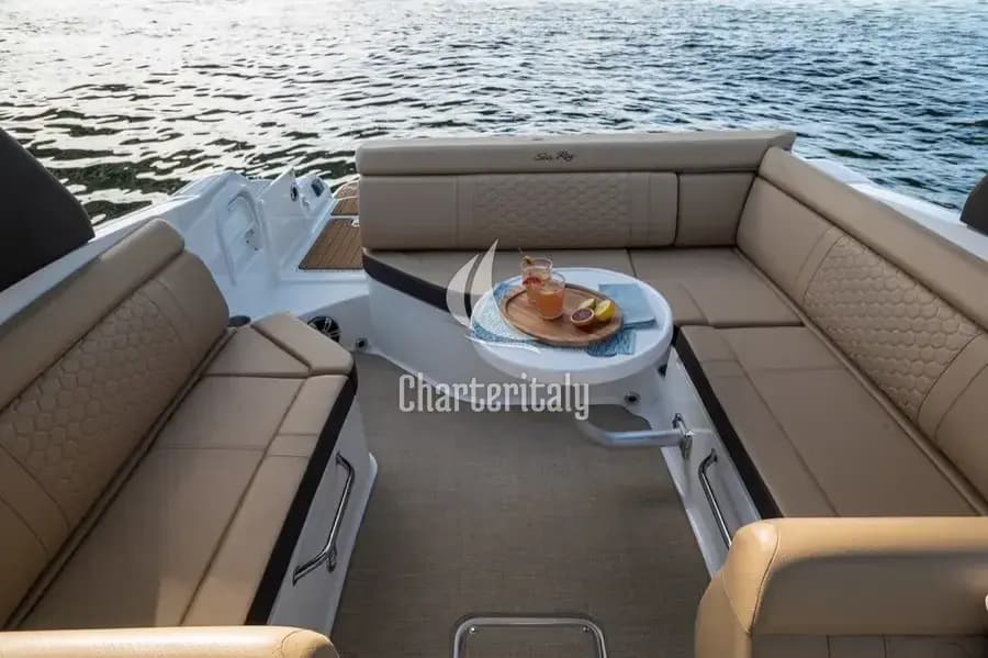 Sea Ray SDX 270 - Happy Hours - 13