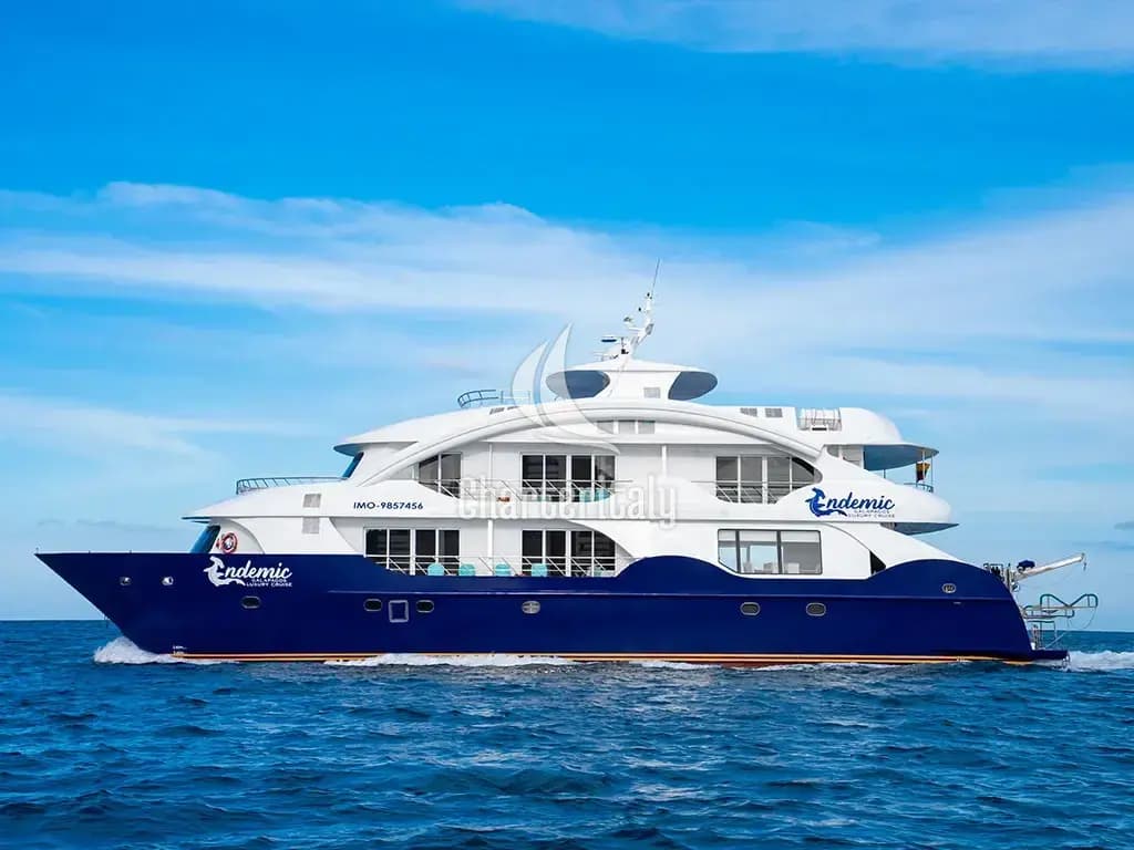 Power Catamaran - Endemic - Cabin 8 - 1