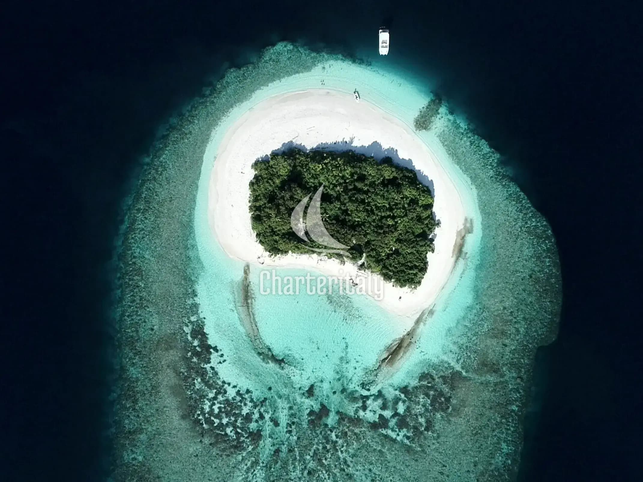 Power Catamaran - Over Reef - 11