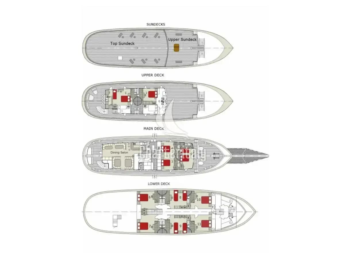 Motor sailer - Cesarica - 18