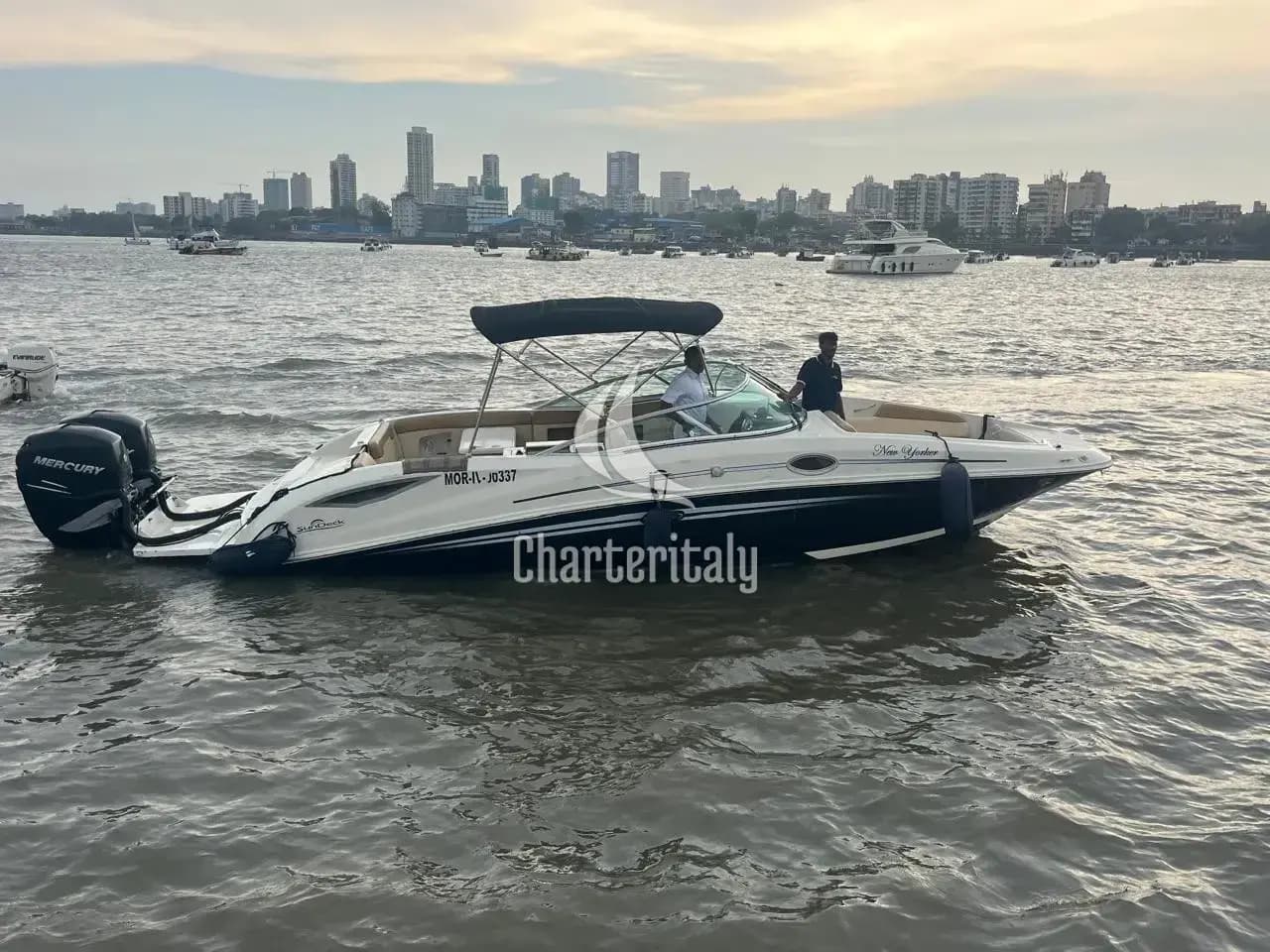 Sea Ray SDX 290 - New Yorker - 1