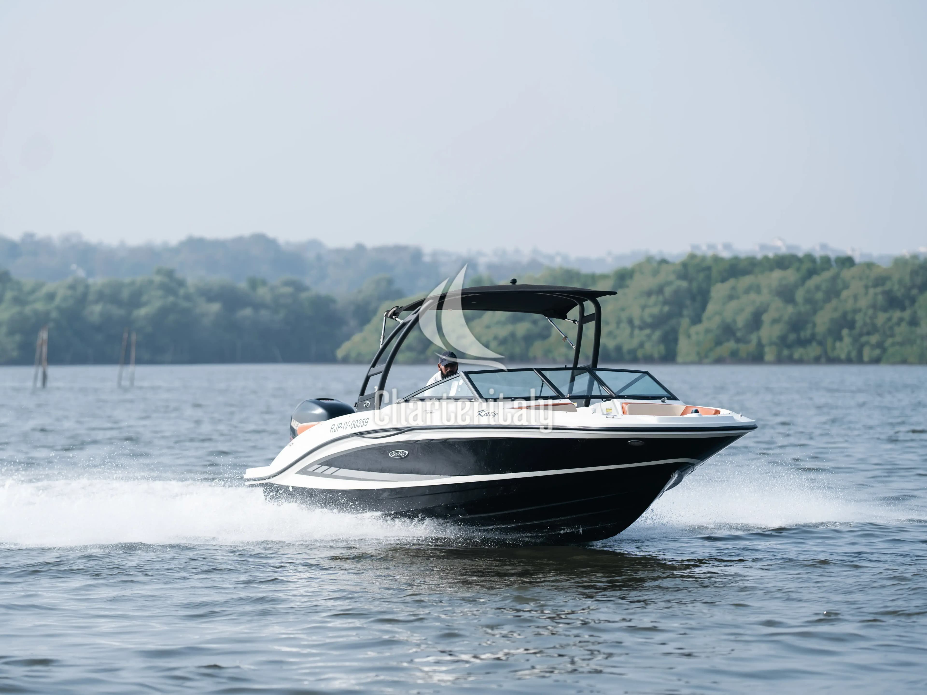 Sea Ray SPX 210 - Katy - 4