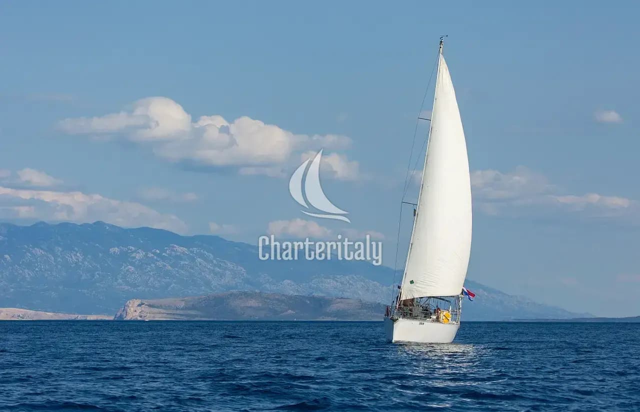 Dolphin 50 - Amica - 6