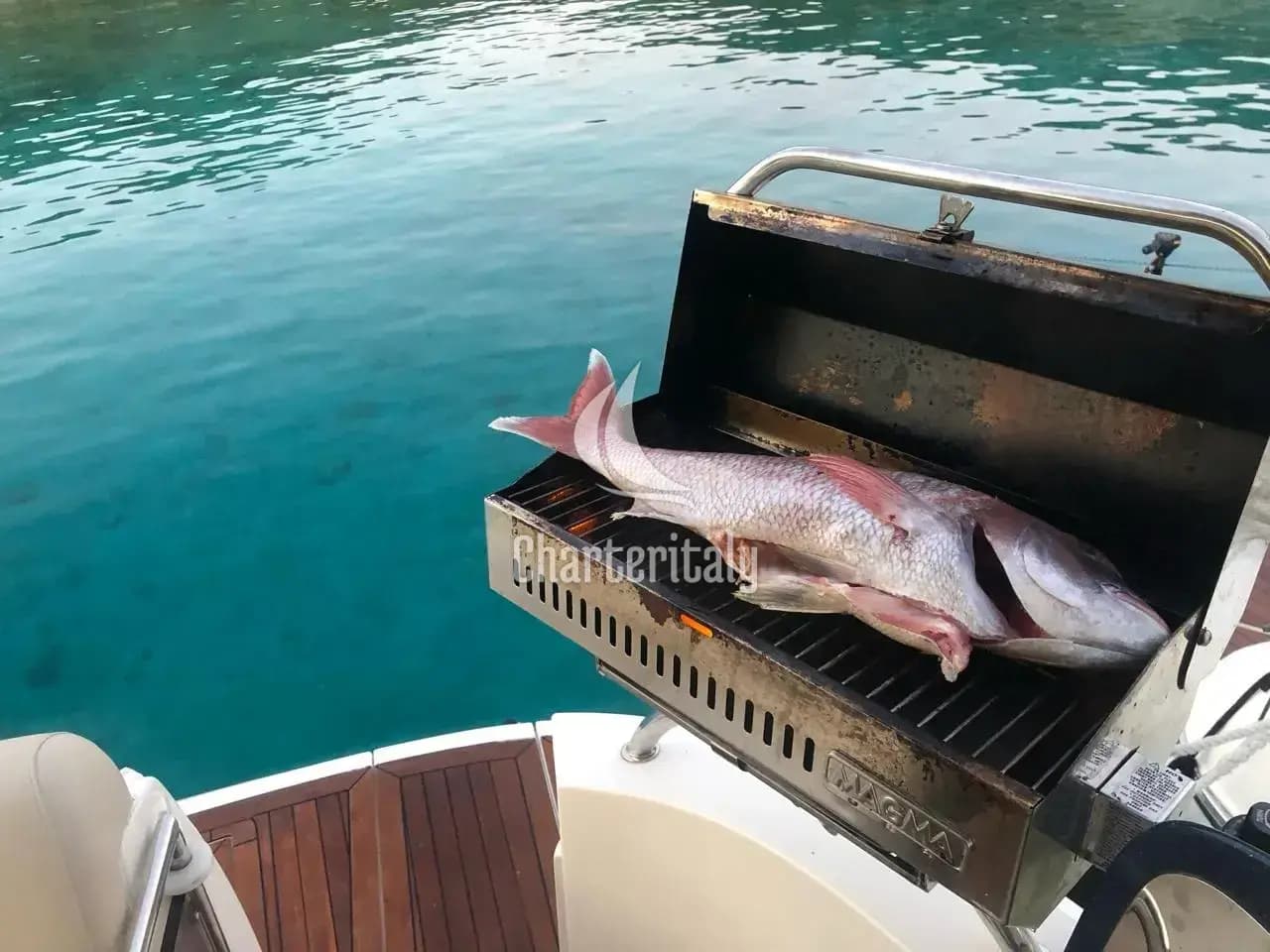 Sealine S38 - ELAINE - 19
