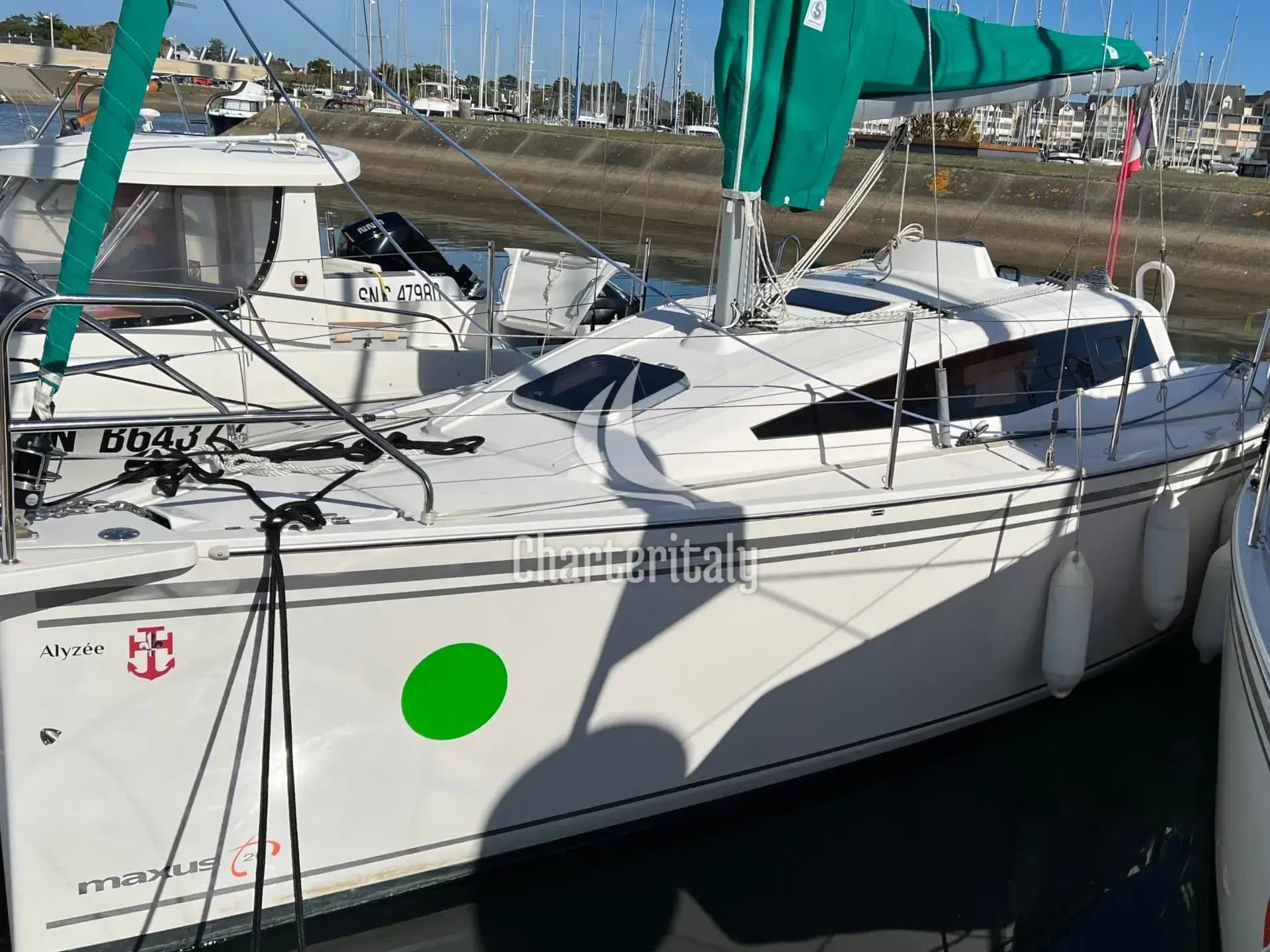 Maxus 26 Standard - Alyzee - 1
