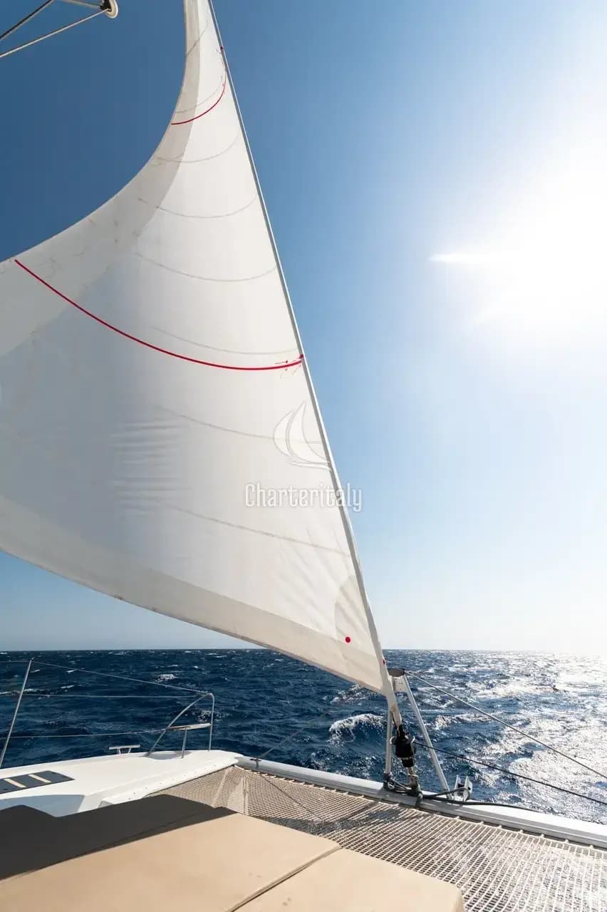 Saona 47 - White Coral - 4