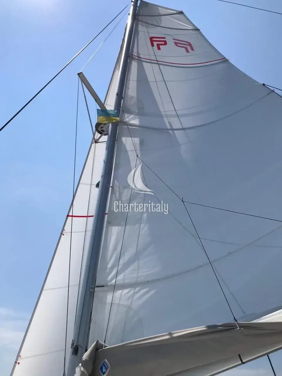 Lucia 40 - Papaya - 19