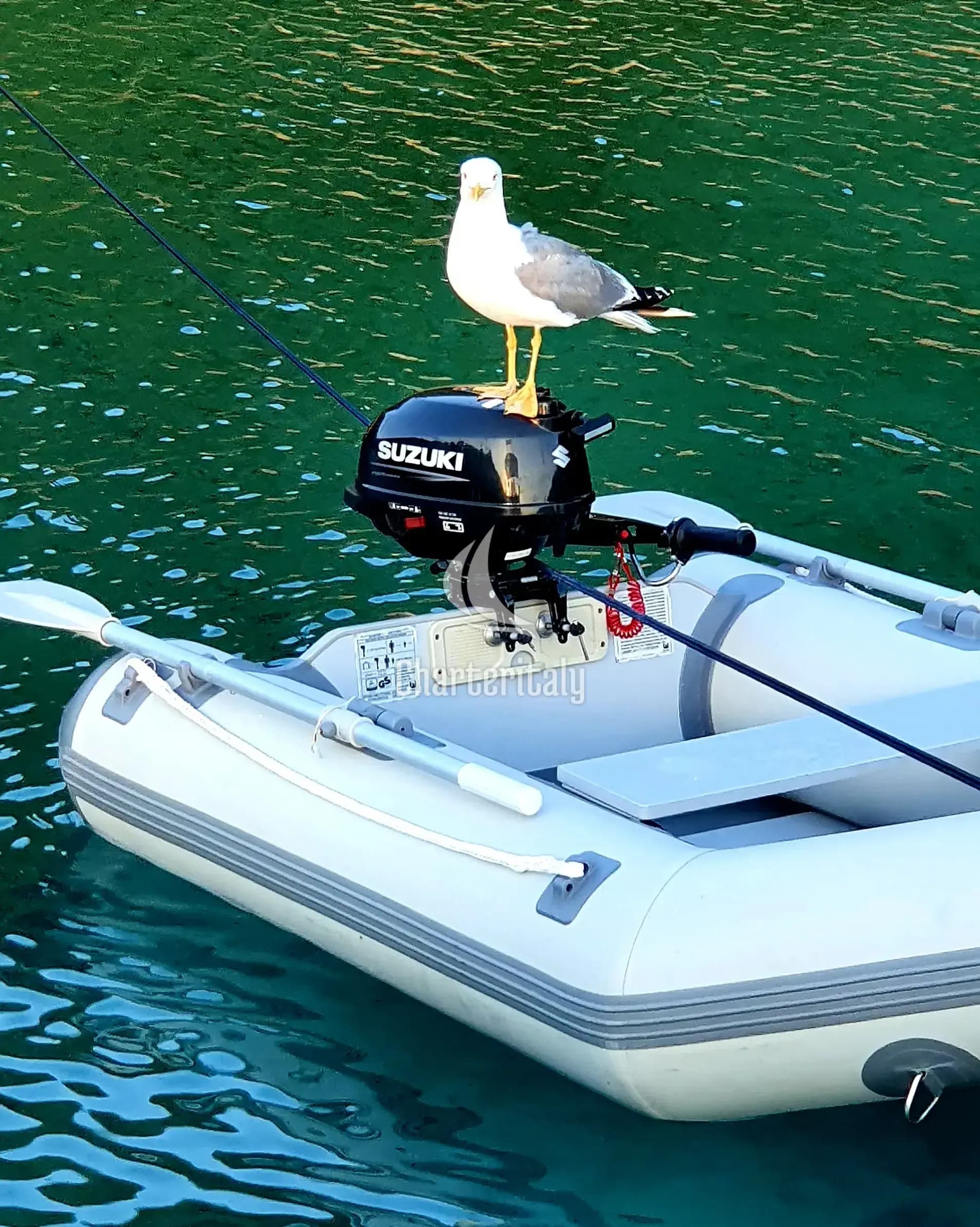 Bavaria 44 - Scorpion - 49