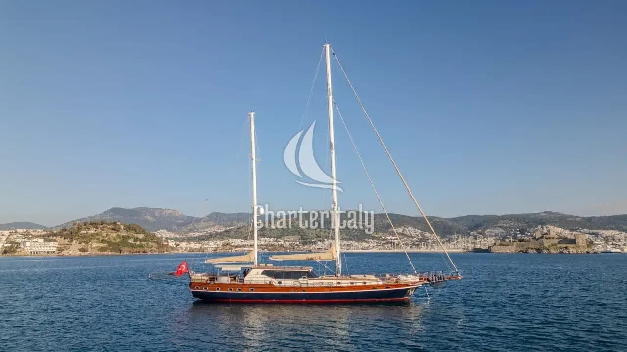 Custom built 183 - DRAGON FLY - 60