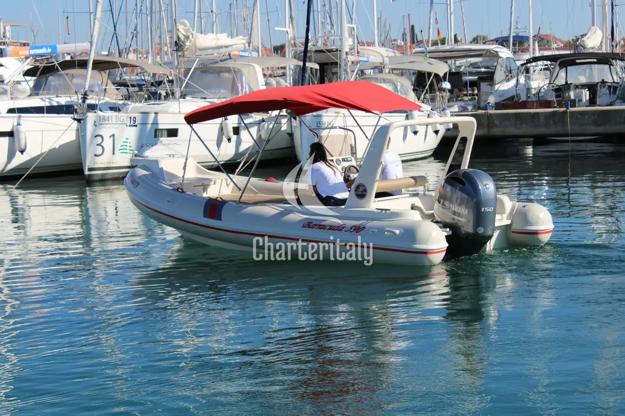 Barracuda 590 - Barracuda 590 - 12 - 6