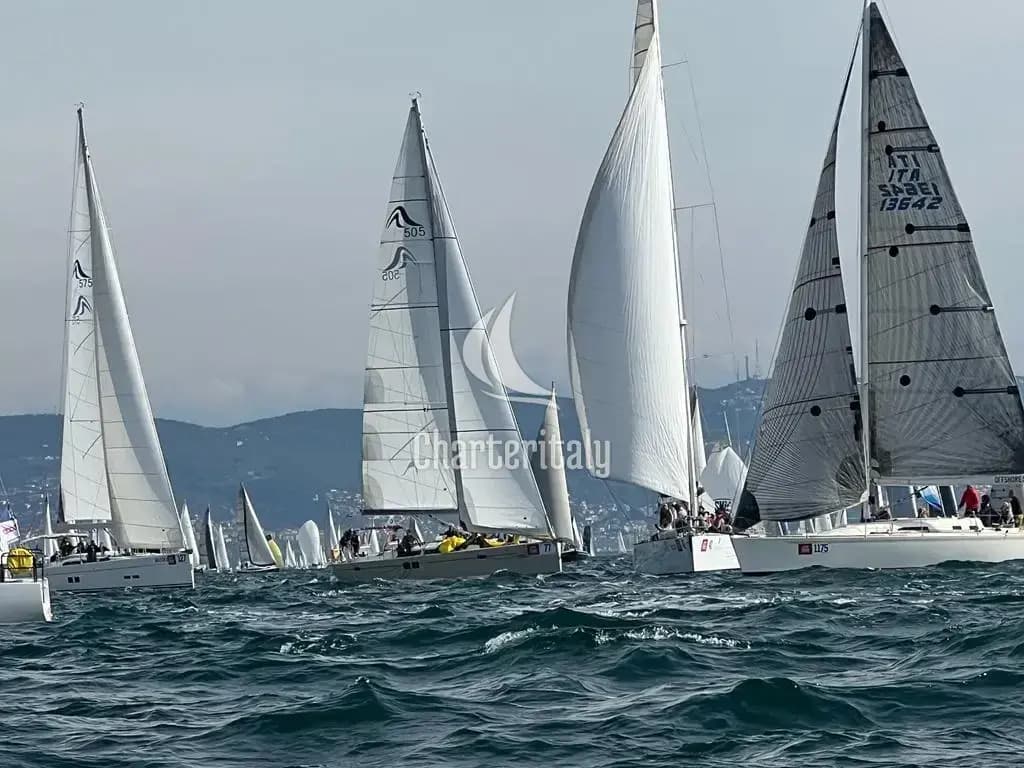 Hanse 505 - Wrungel - 2