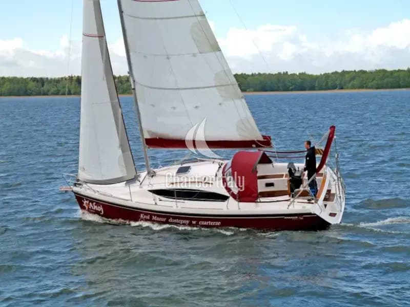 Maxus 33.1 RS Prestige - FORGET-ME-NOT - 8