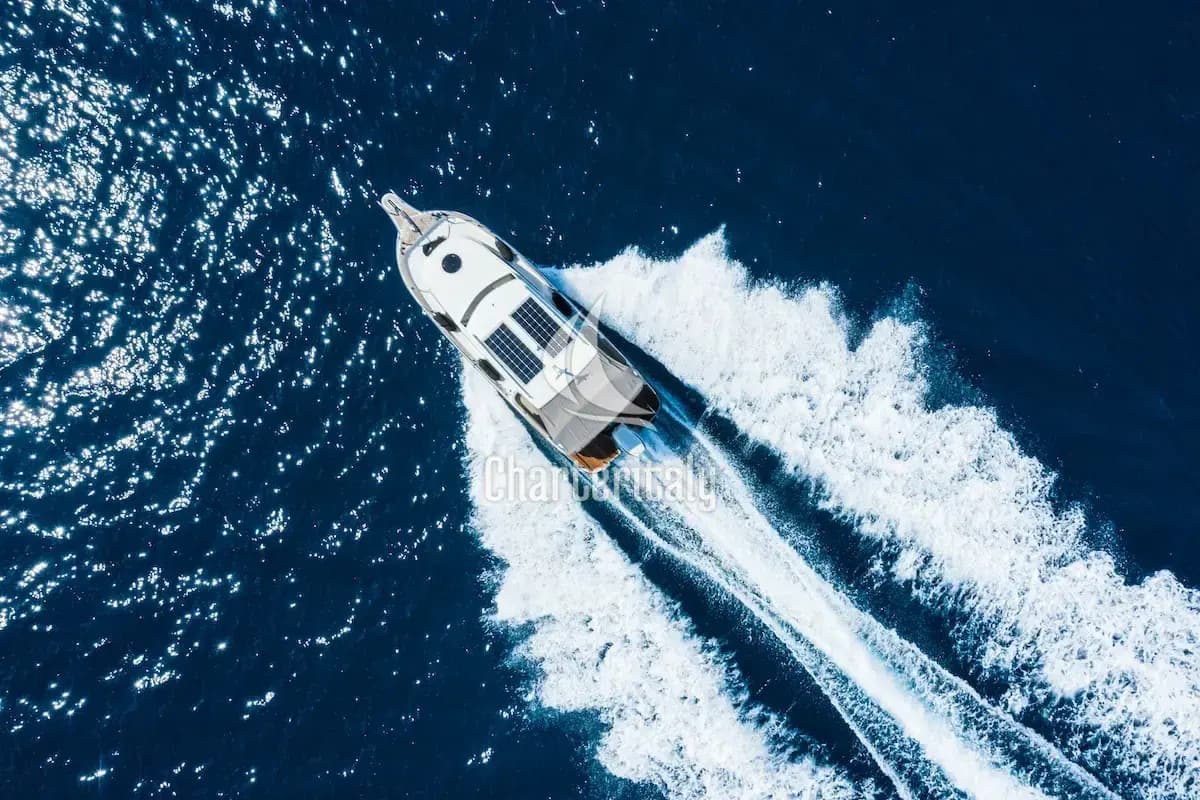 Leidi 800R - H8 - 4