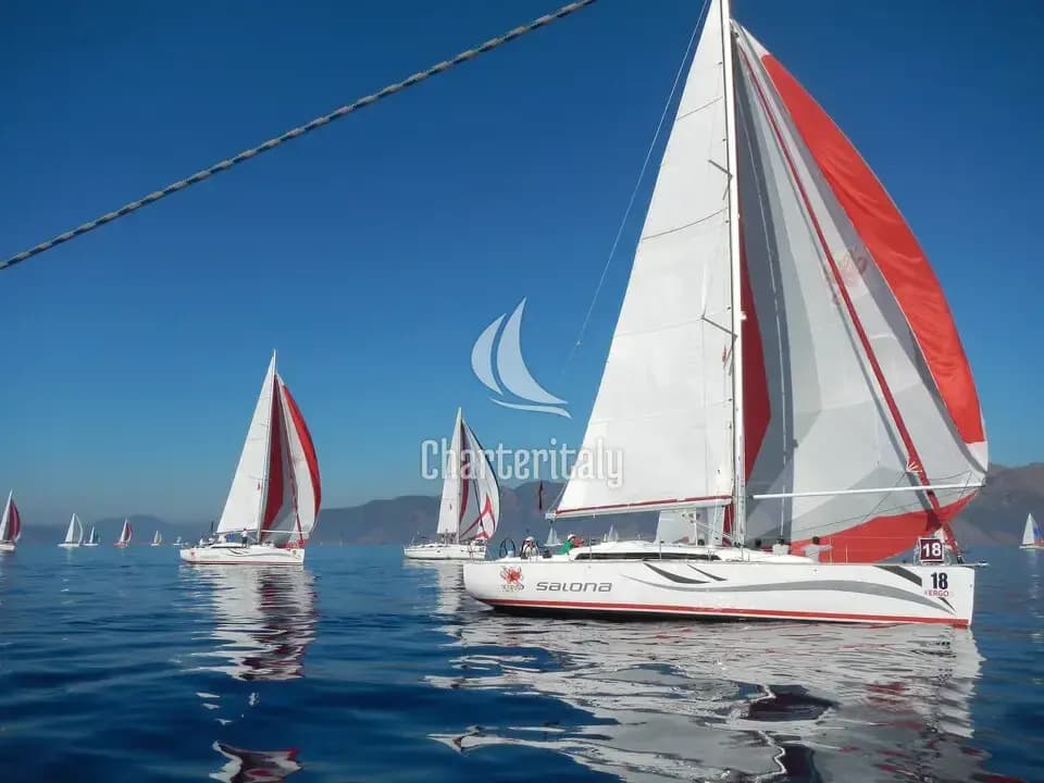 Salona 41 - White Butterfly - 3