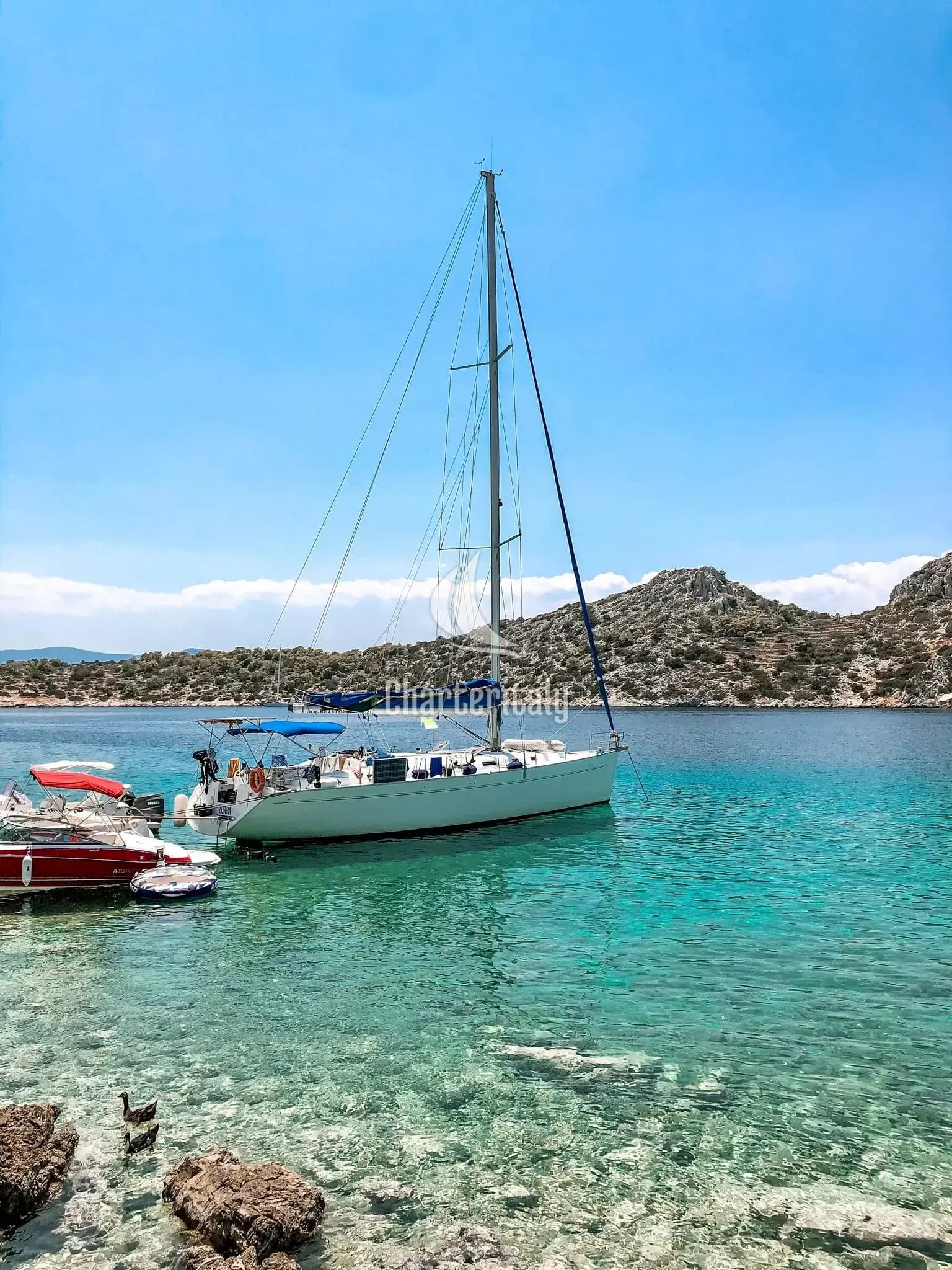 Cyclades 50.5 - ZORBA - 19