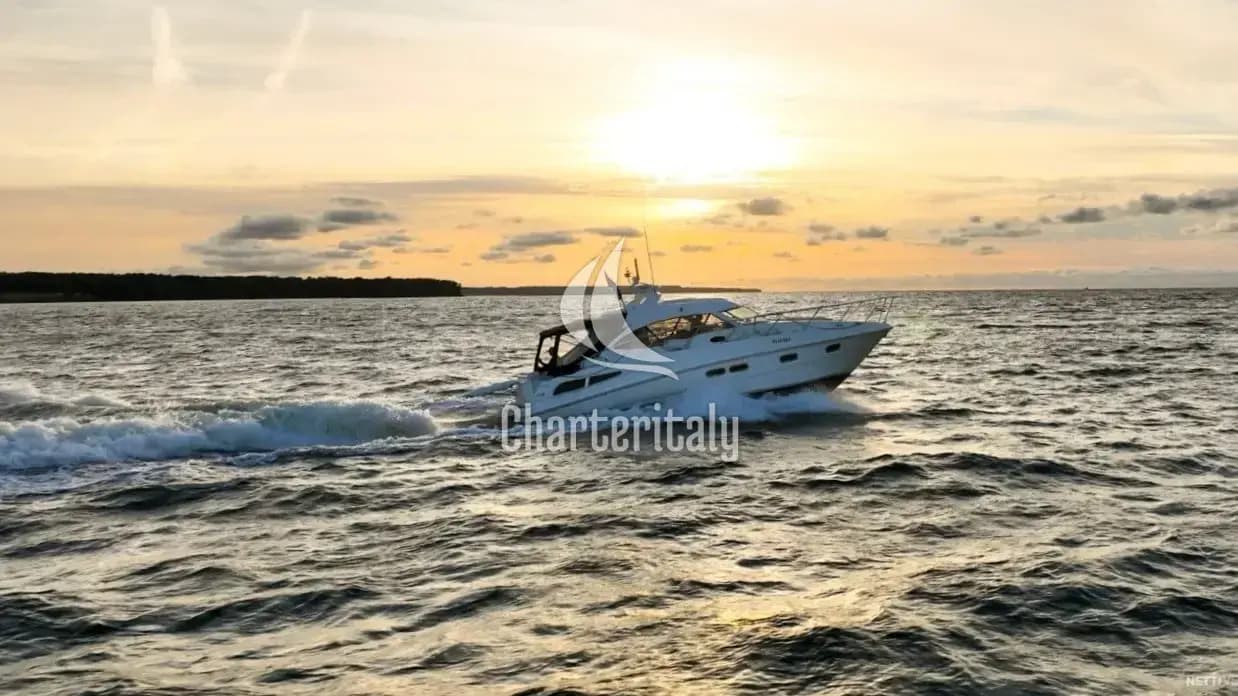 Sealine C390 - La Mouette - 14