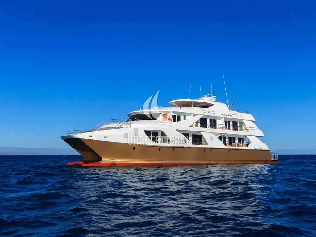 Power Catamaran - Elite - Cabin 5 - 1