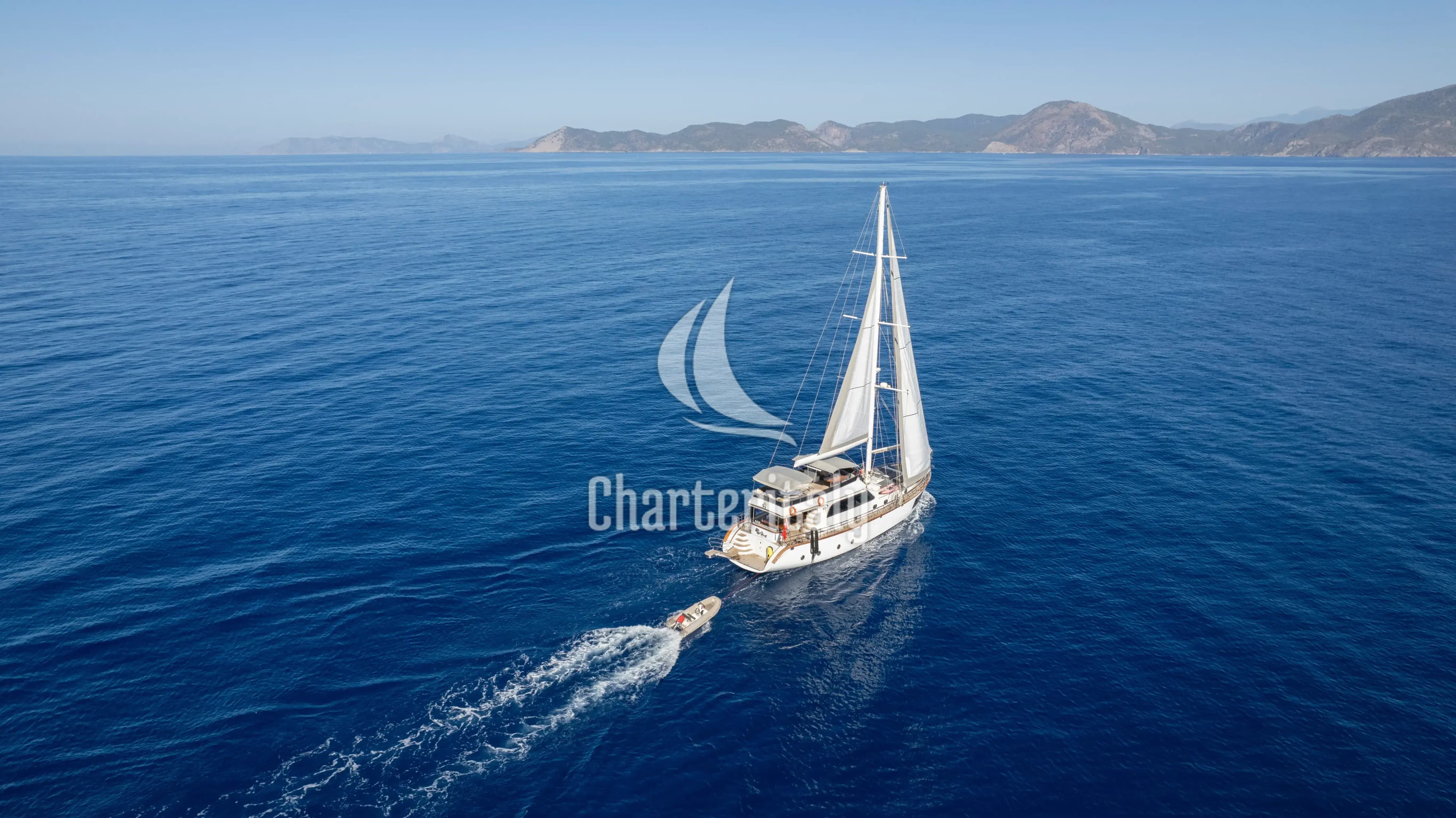 Motor sailer - Premium - 31
