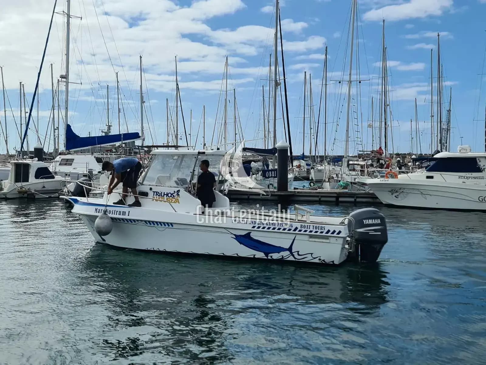 Tecninautica Marlin 22 - Mare Nostrum - 2
